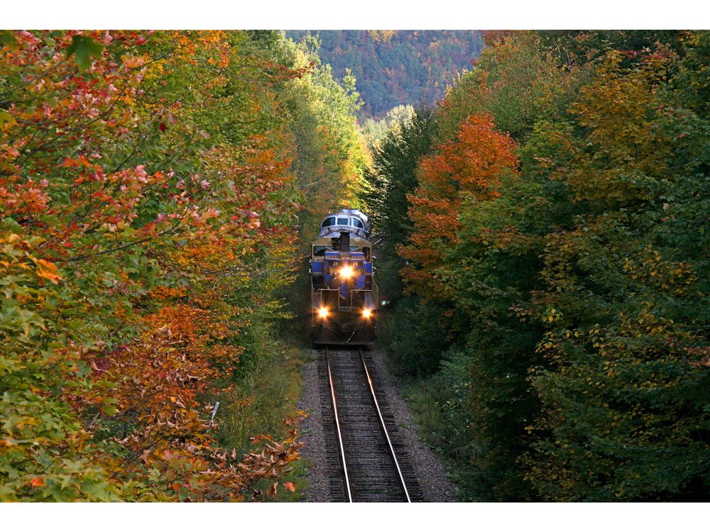 autumn train