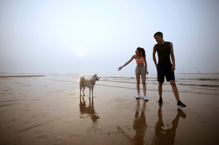 Young Asian couple walking on beach with pet dog.