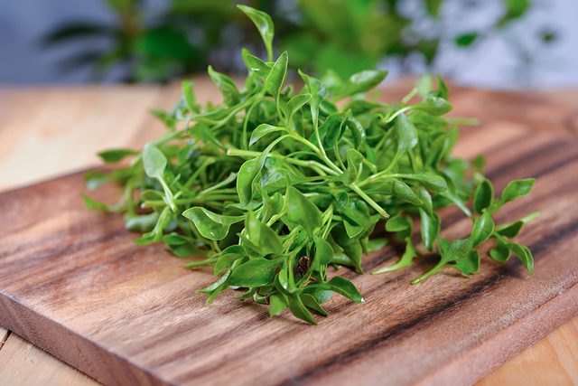 foods that prevent cancer - Watercress