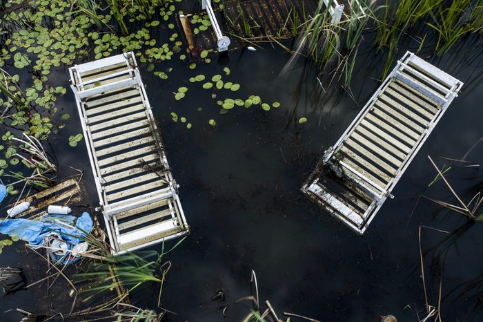 A view of white pool chairs resting in an abandoned and overgrown swimming pool at the decrypt Pines Resort in the Catskill Mountains of New York.