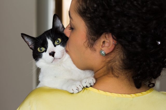 Close up of woman with curly hair holding and kissing her domestic black and white kitten with green eyes on the shoulder. Concept of love to animals, pets, lifestyle, care. Room interior, at home.