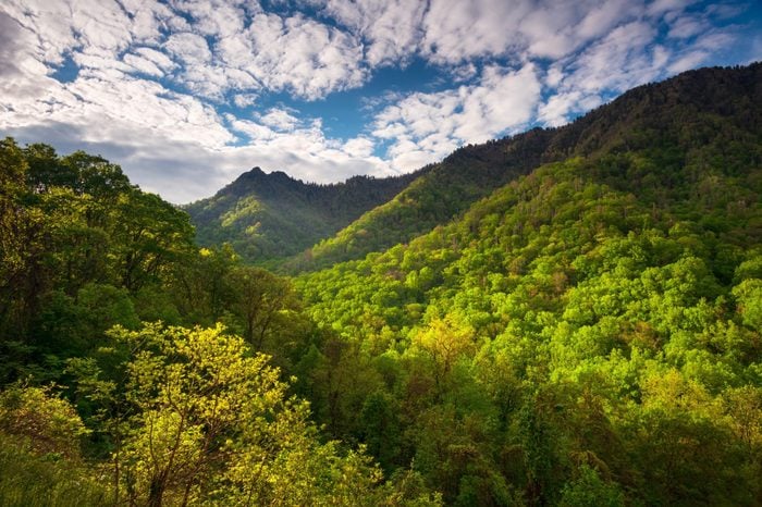 Great Smoky Mountains National Park Scenic Landscape Photography Gatlinburg TN featuring morning light skipping across popular hiking area The Chimneys