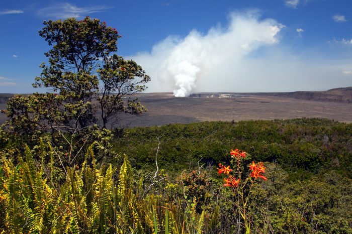 Stock image of Hawaii Volcanoes National Park, USA