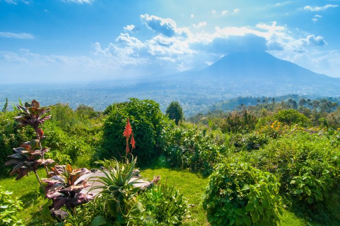 View of mount Sabyinyo, one of the volcanoes in the Volcanoes National Park in Rwanda