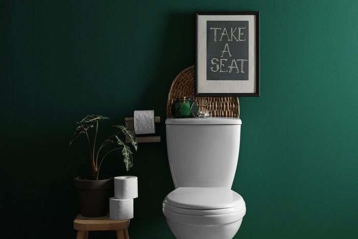 Decor elements, paper rolls and toilet bowl near green wall. Bathroom interior