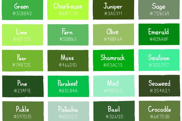 Green Tone Color Shade Background with Code and Name Illustration