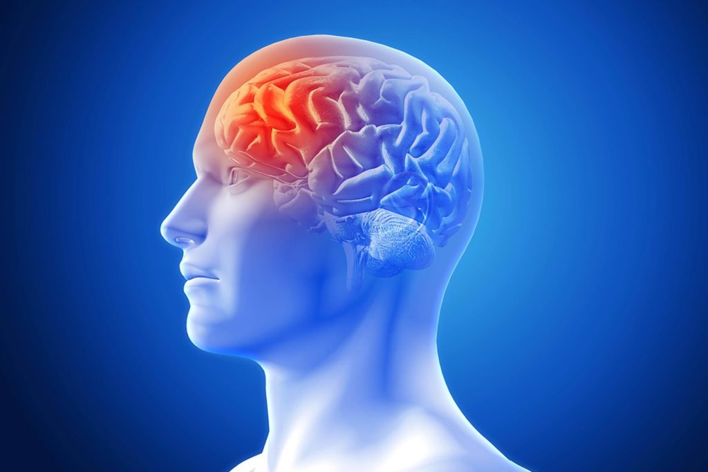 Digital render of human brain
