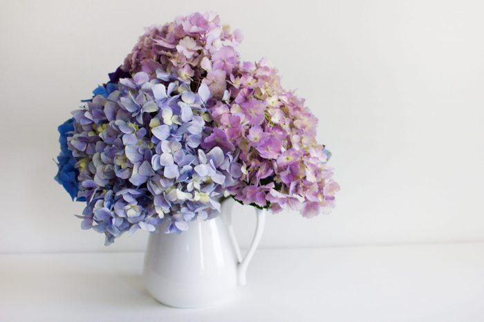$1 solutions - Pastel Hydrangeas In A Glass Vase. Space for text