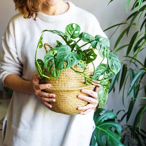 Low light indoor plants - woman holding potted plant