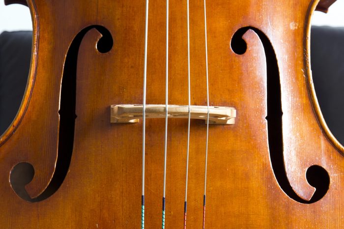 Close-up of double bass