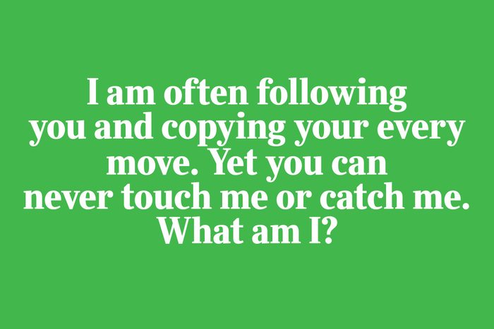 riddles for kids - I am often following you and copying your every move. Yet you can never touch me or catch me. What am I?