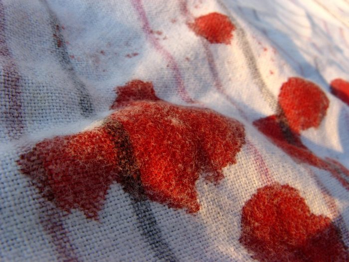 A rag sullied by blood stains.