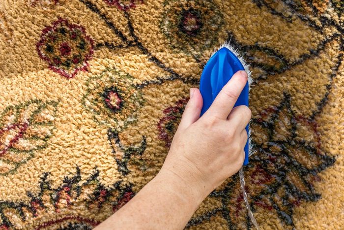 Cleaning the carpet close up. Women hand brushing the carpet. Copy space