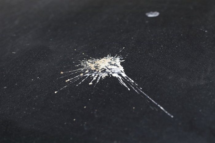 Bird droppings on black car surface