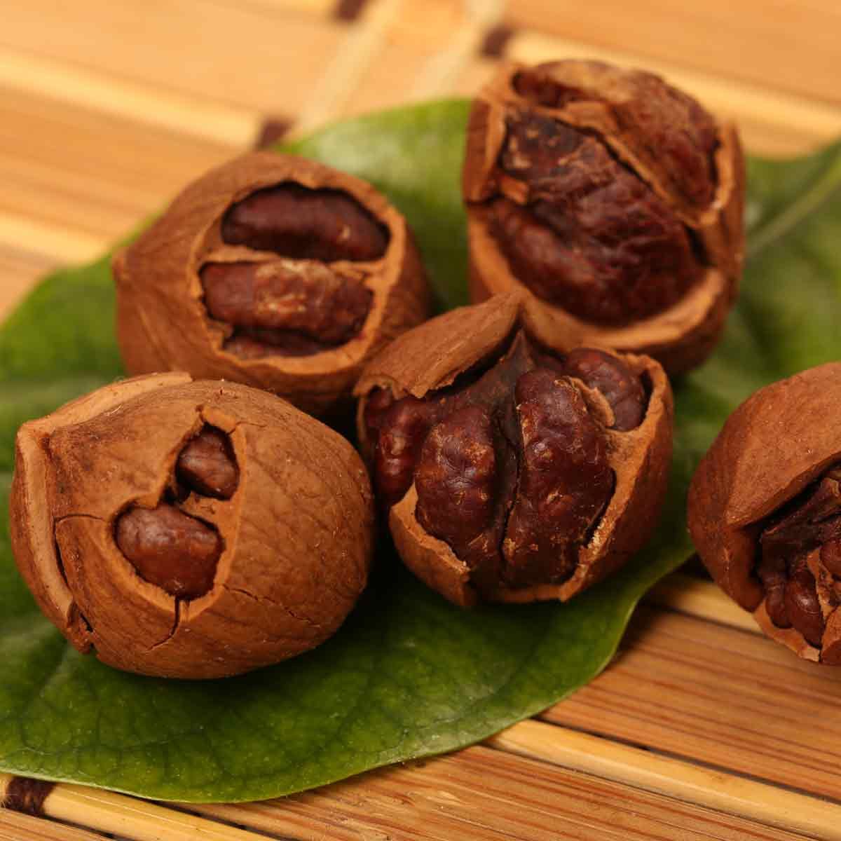Large-hickory-nuts