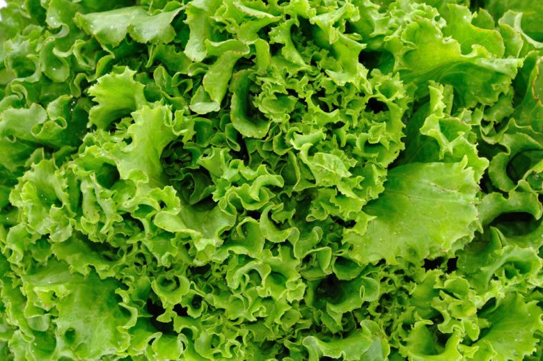 best foods for your heart - Lettuce