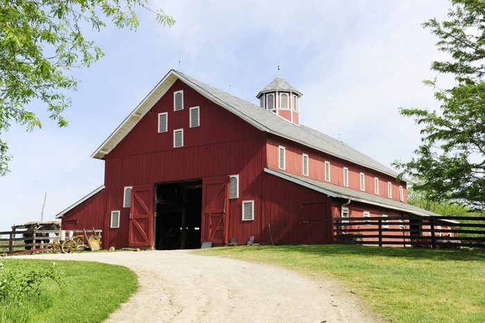 A springtime image taken on the trail leading to the open doors of a big red barn on a sunny day.