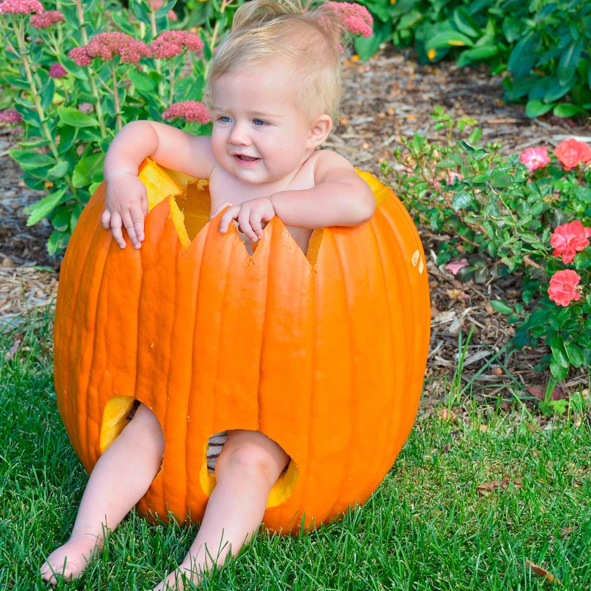 baby in pumpkin