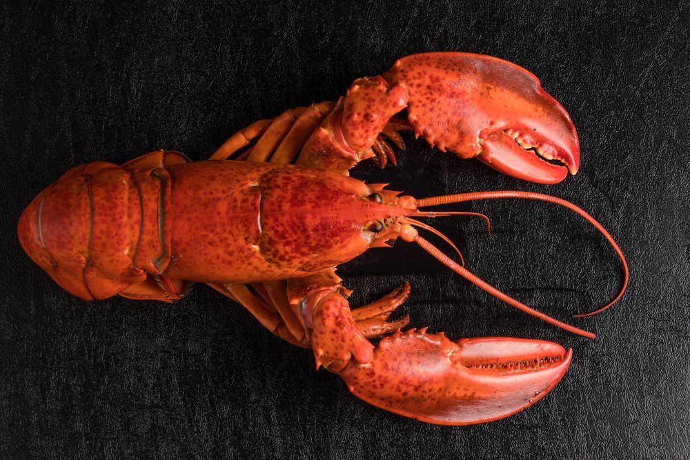 Delicious lobster