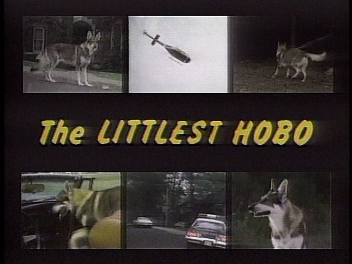 Canadian TV Shows - Opening credits for The Littlest Hobo