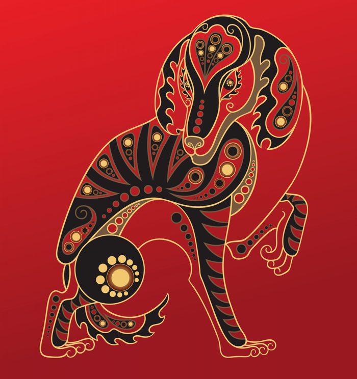 Dog - Chinese horoscope animal sign. The vector art image in decorative style.