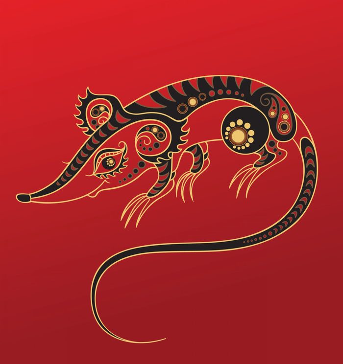 Rat - Chinese horoscope animal sign. The vector art image in decorative style.
