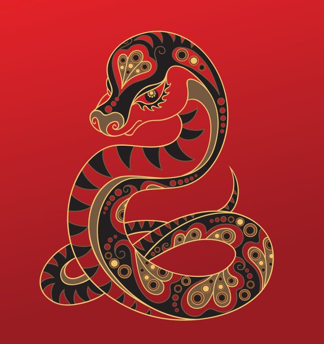 Snake - Chinese horoscope animal sign. The vector art image in decorative style.