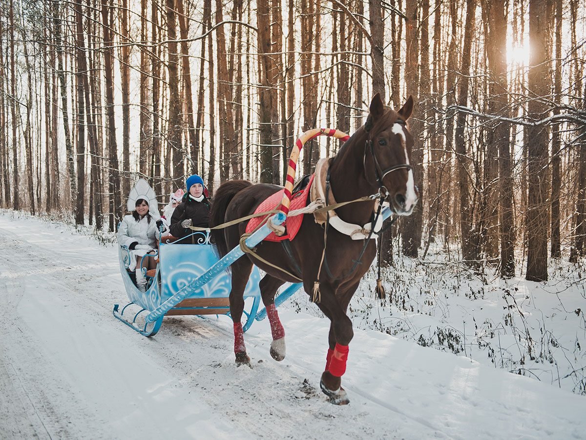 Horse drawn sleigh