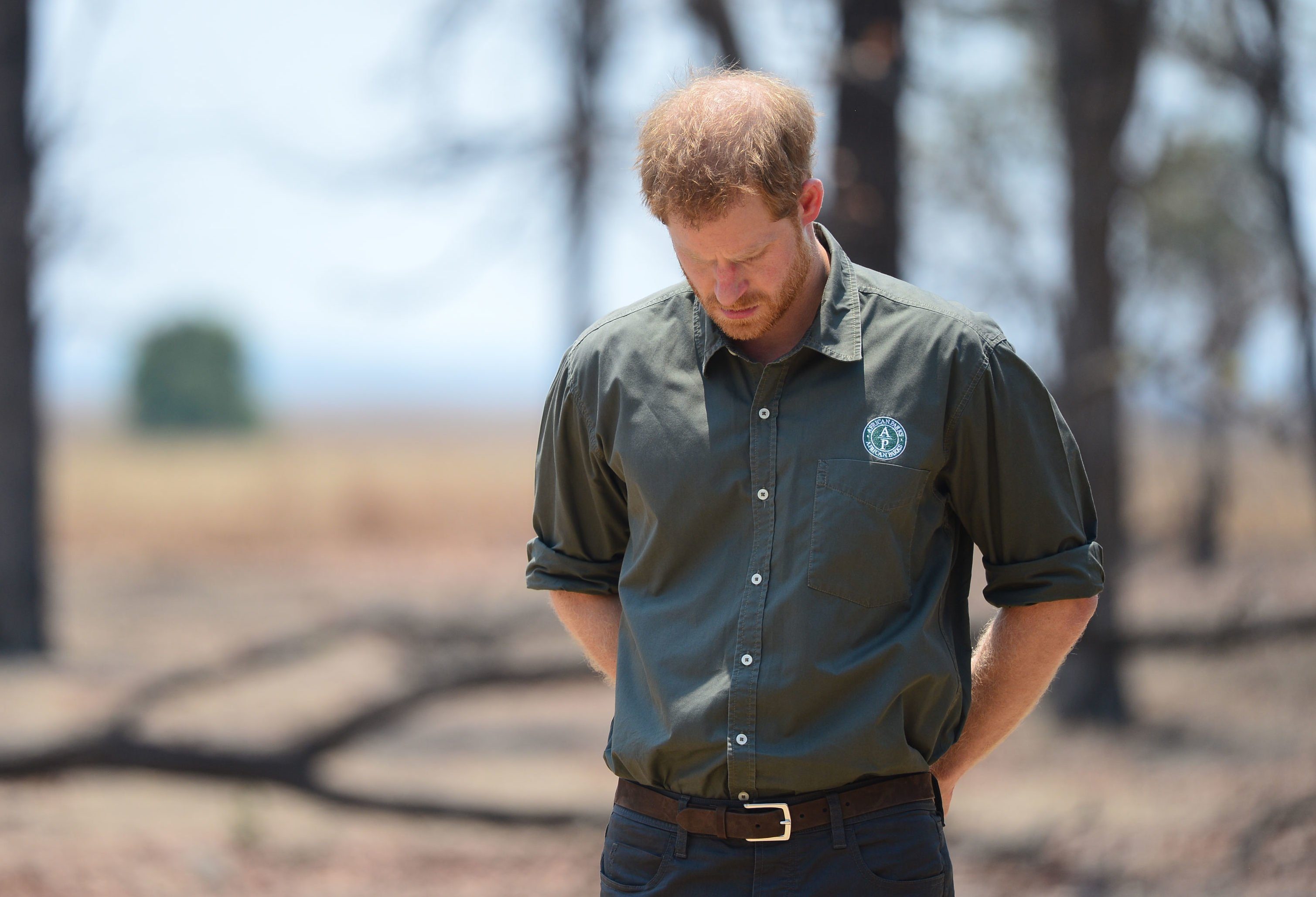 Mandatory Credit: Photo by Dominic Lipinski/Shutterstock (10430652l) Prince Harry pays tribute at the memorial site for Guardsman Mathew Talbot of the Coldstream Guards at the Liwonde National Park in Malawi, on day eight of the royal tour of Africa. PA Photo. Picture date: Monday September 30, 2019. Guardsman Talbot lost his life in May 2019 on a joint anti-poaching patrol with local park rangers. Prince Harry visit to Africa - 30 Sep 2019