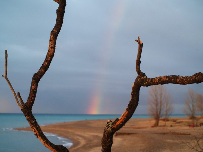 Rainbow pictures - southern Alberta prairies rainbow