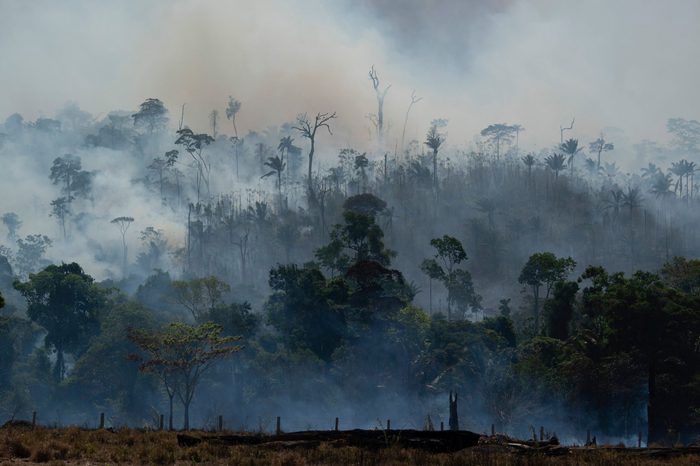 amazon rainforest fire burns in brazil