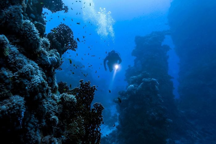 Underwater diver in underwater world landscape