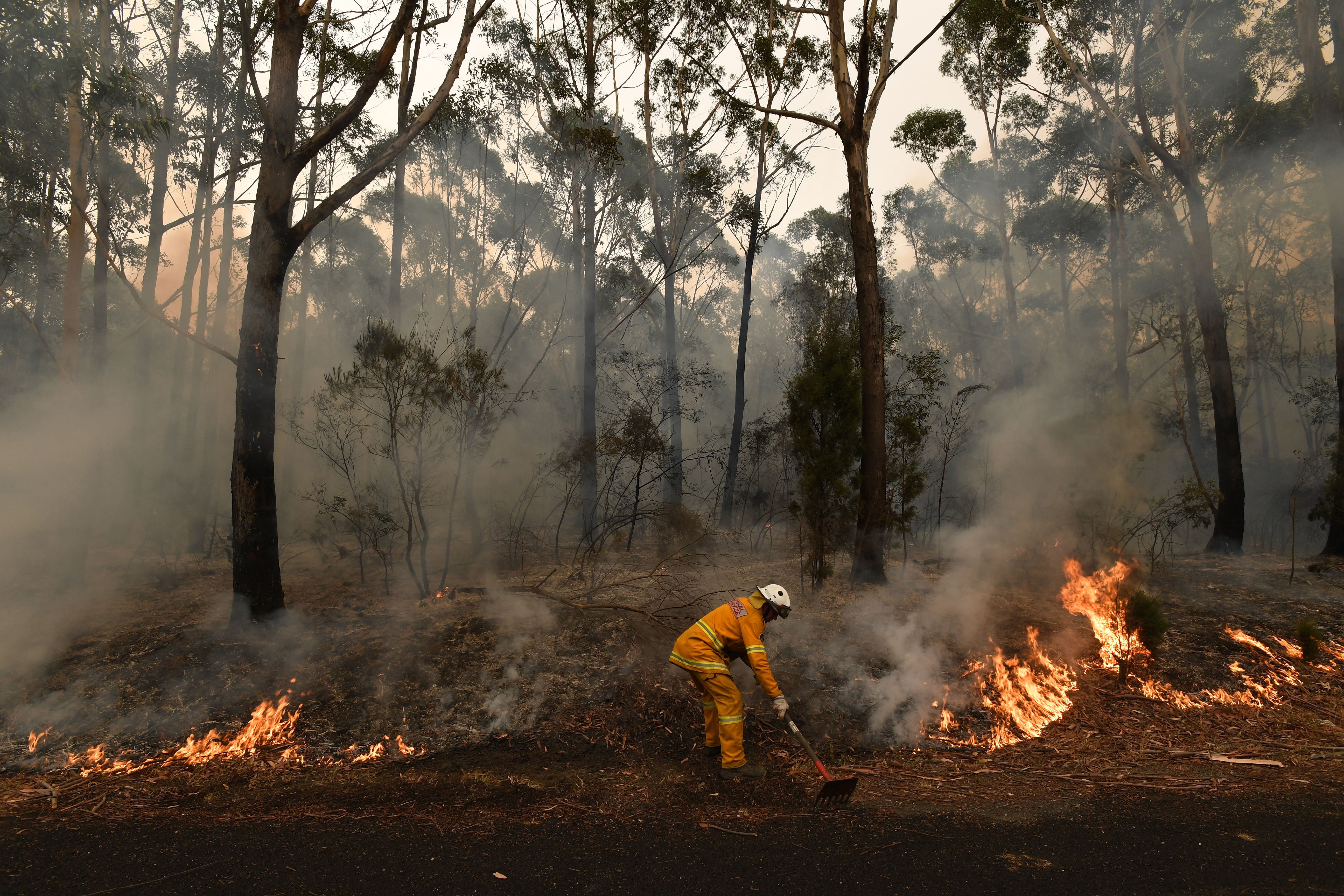 Mandatory Credit: Photo by DEAN LEWINS/EPA-EFE/Shutterstock (10518220i) A firefighter works to contain a small bushfire, which closed the Princes Highway, near Ulladulla, Australia, 05 January 2020. According to media reports, at least 1,200 homes in Victoria and New South Wales have been destroyed by fires this season, at least 18 people have died, and more than 5.9 million hectares have been burnt. Bushfires in Australia, Ulladulla - 05 Jan 2020