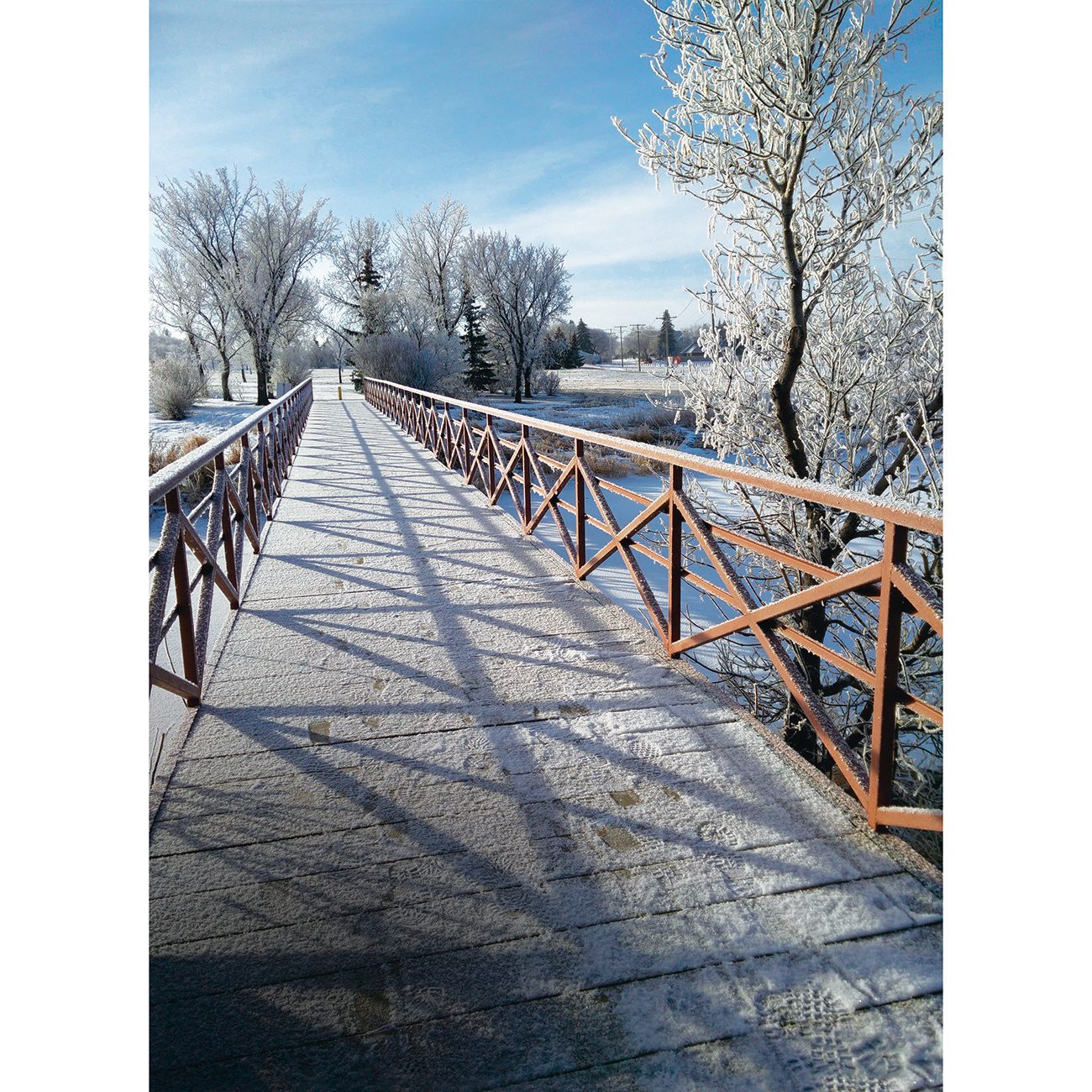 Beauty of the Canadian winter photography - bridge