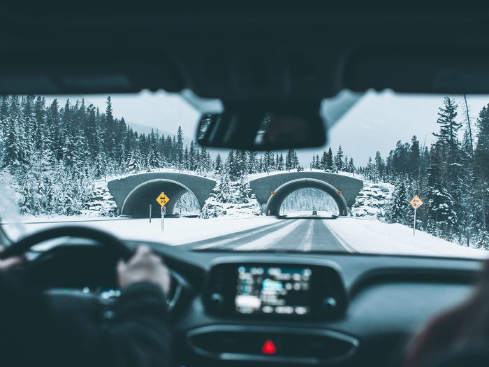 Driving In Light Snow Vs Snowstorm Feature