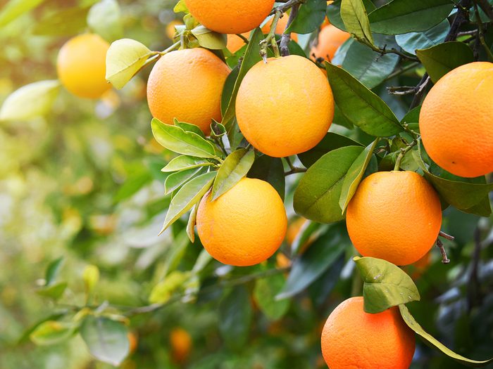 what is the secret to beautiful skin - oranges