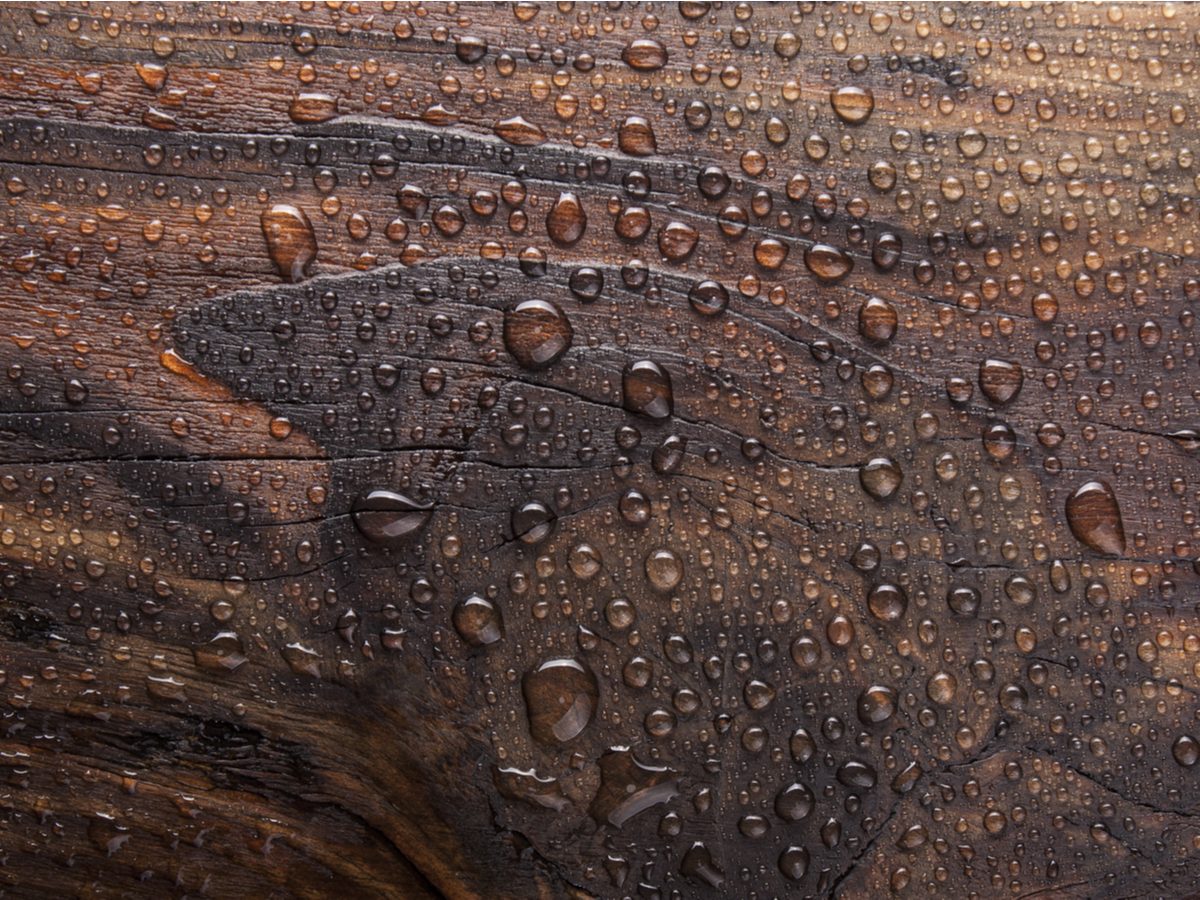 Condensation on wood
