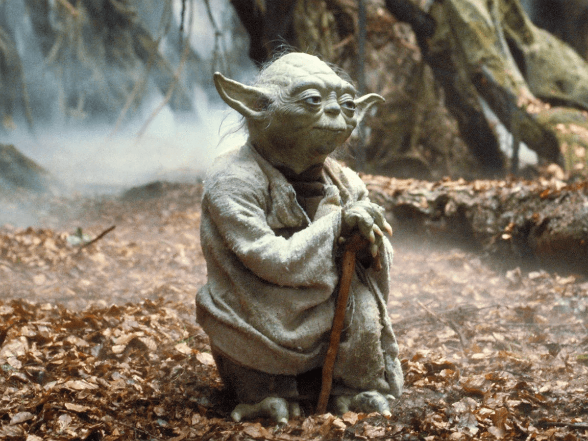 Best Yoda Quotes to Awaken Your Inner Force | Reader's Digest Canada