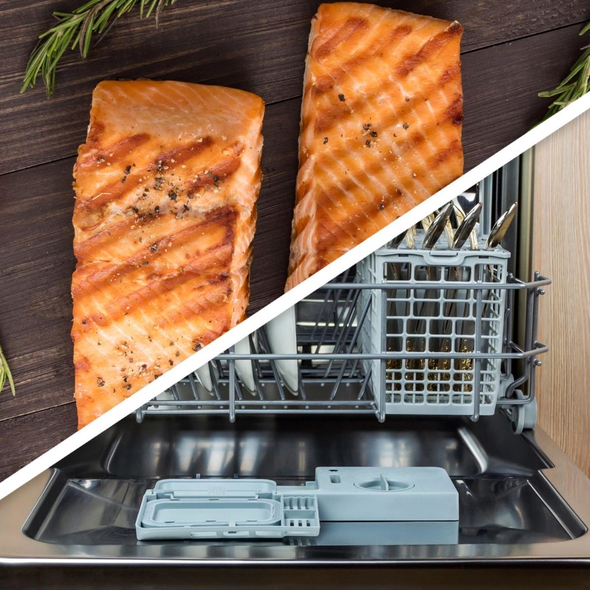Salmon and dishwasher