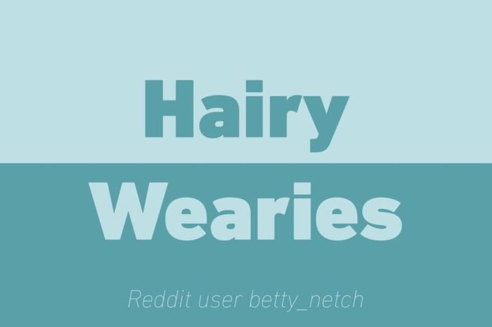 hairy wearies walkie talkie reddit