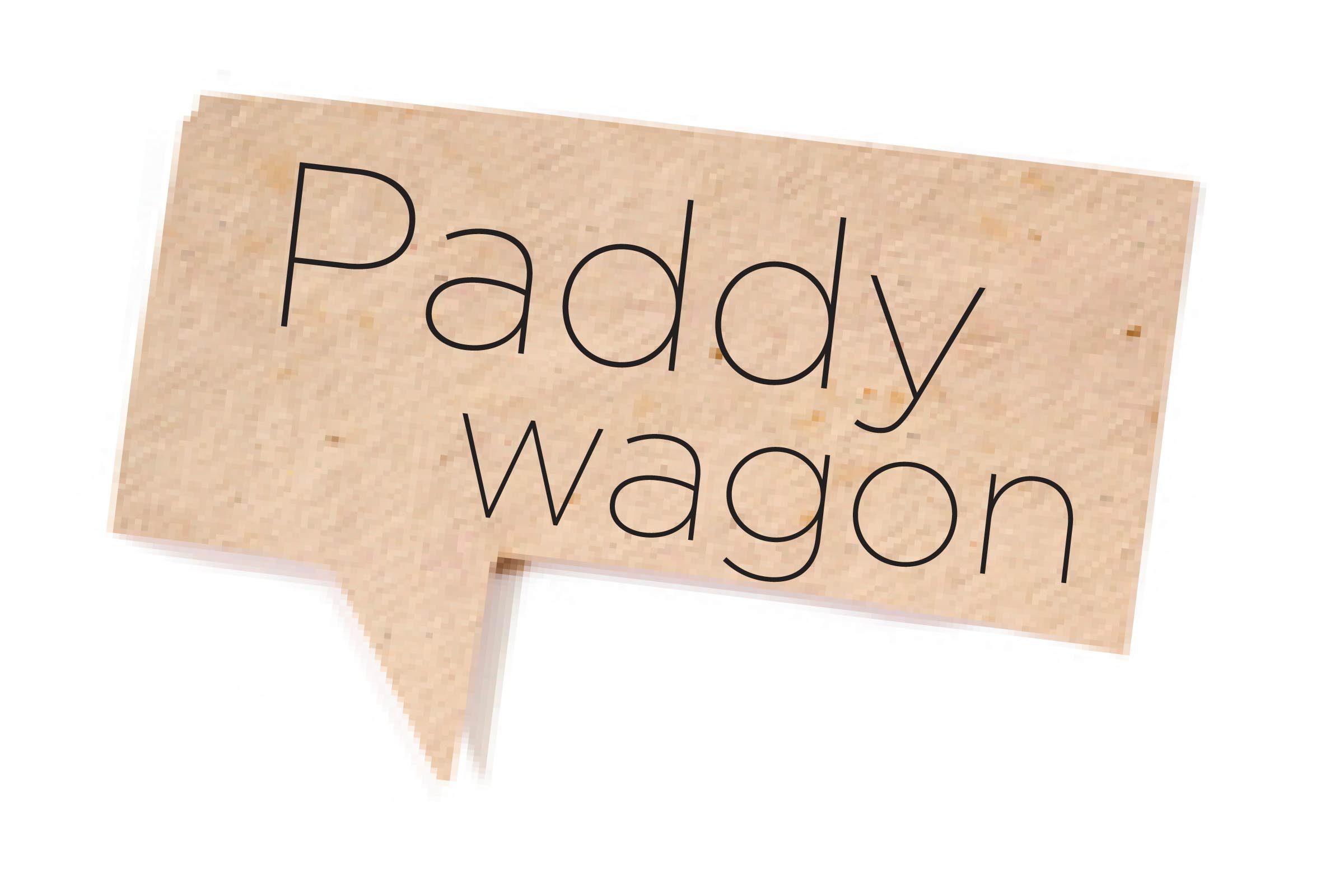 Offensive words - Paddy wagon