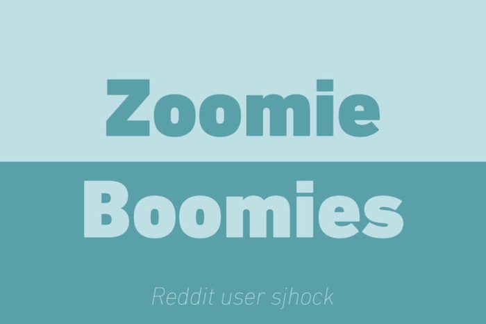 zoomie boomies walkie talkie reddit