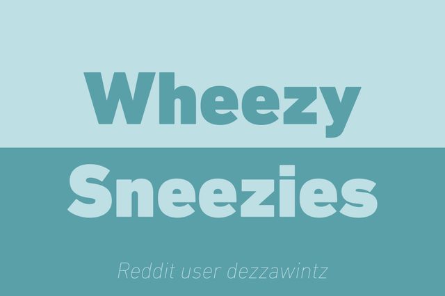 wheezy sneezies walkie talkie reddit