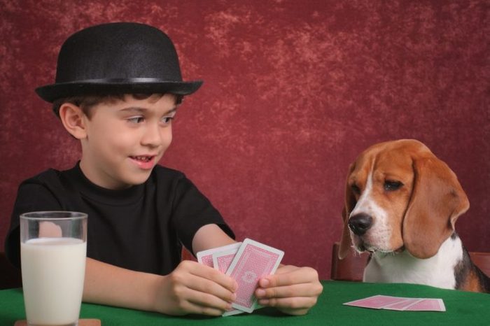 dog and boy playing cards