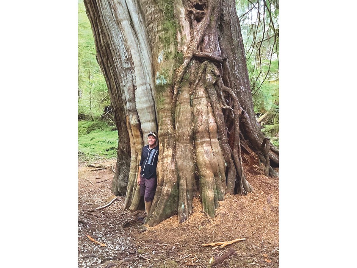 Brett being dwarfed by a massive tree trunk