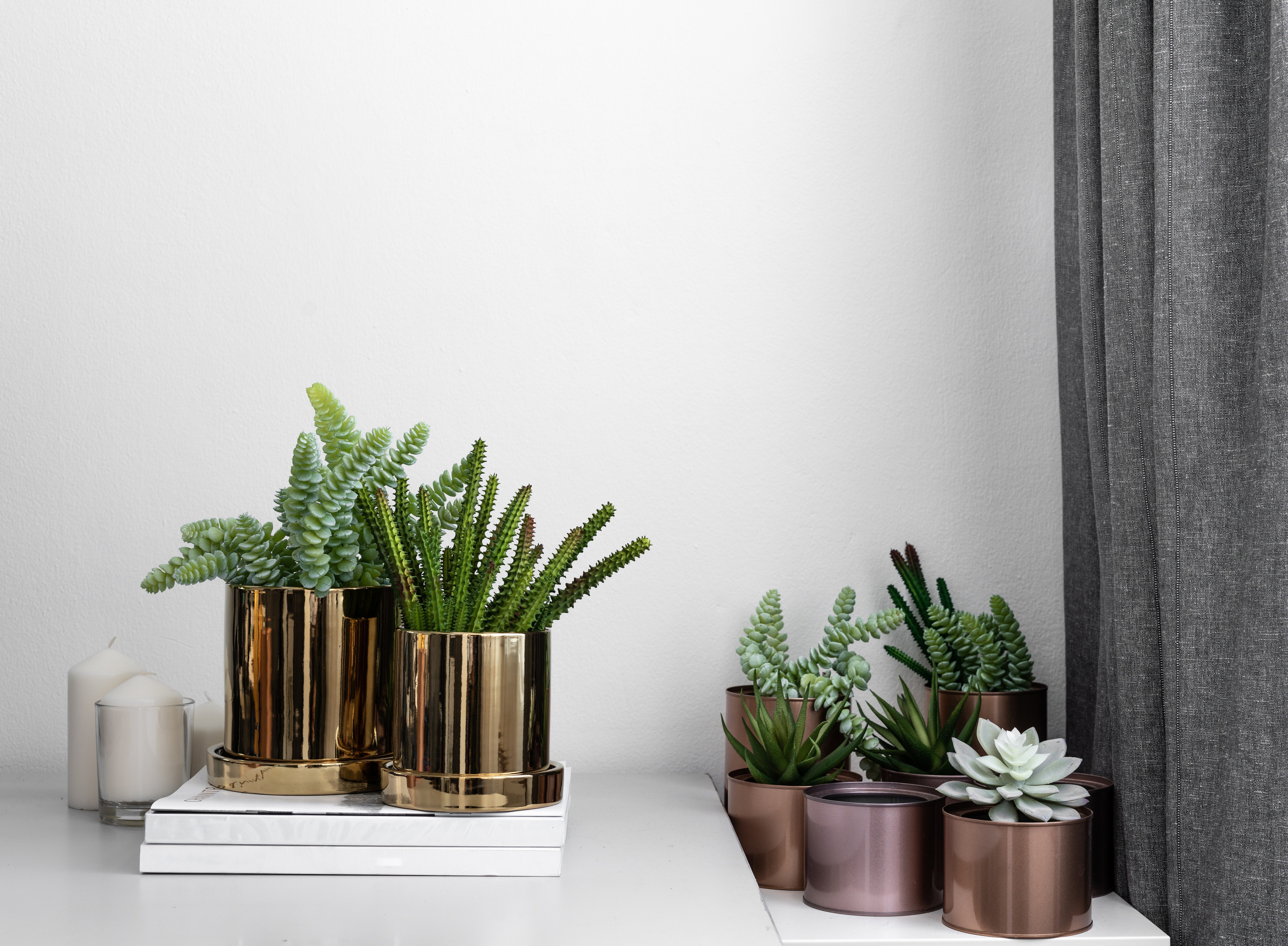 Composition of gold mirror ceramic pots with artificial plants inside setting on minimal books and group of copper aluminium pots in natural light setting scene / cozy interior concept / decoration