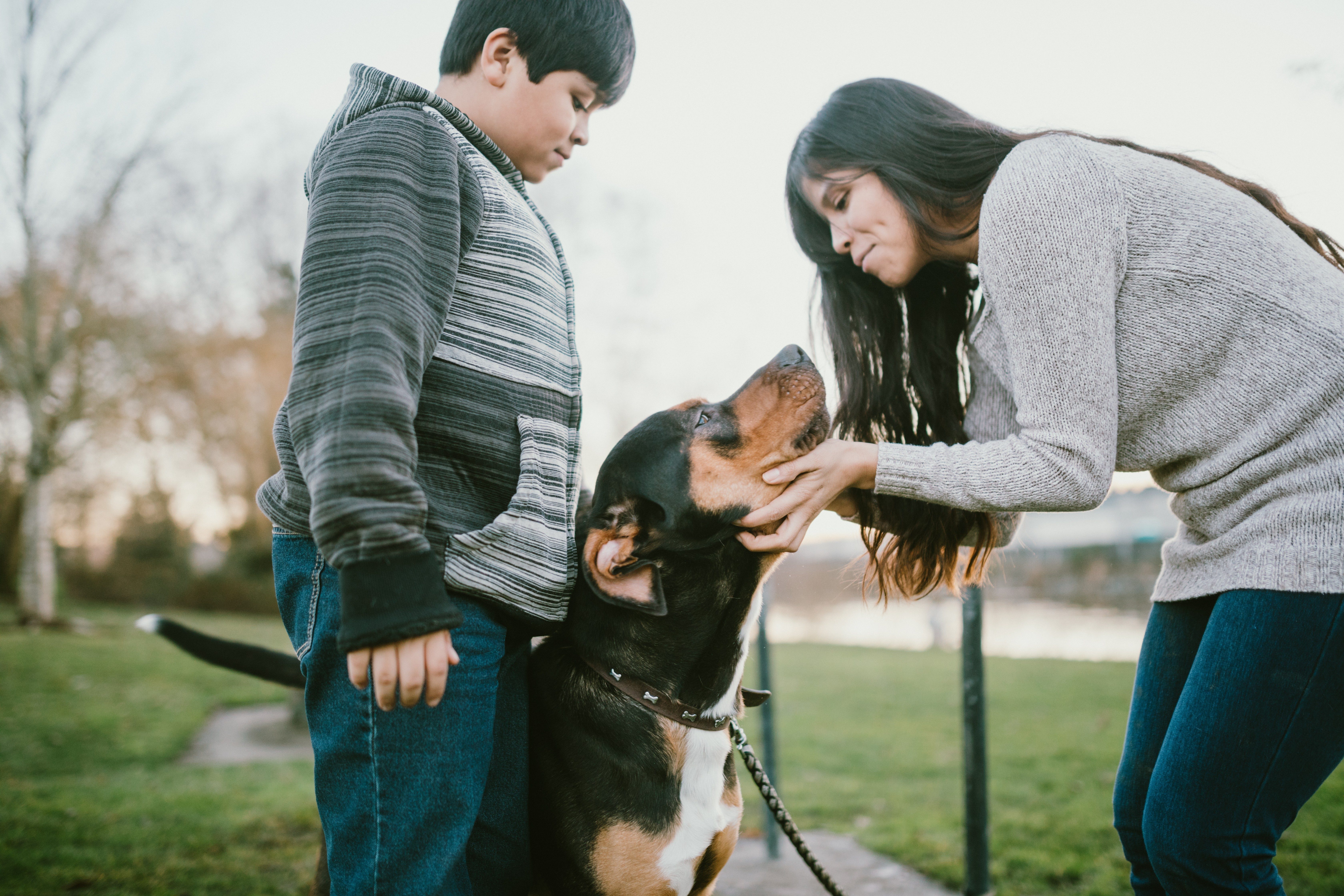 Hispanic Mother And Son Pet Their Dog
