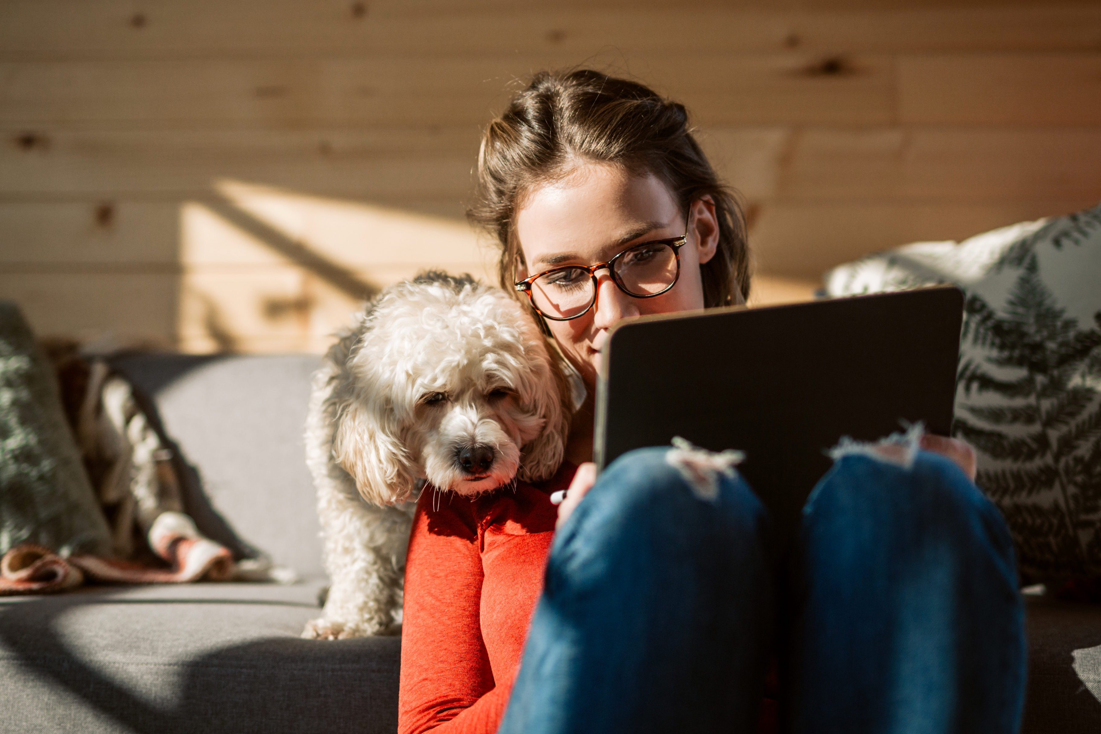 Artist Drawing At Home In Company Of Her Poodle Dog