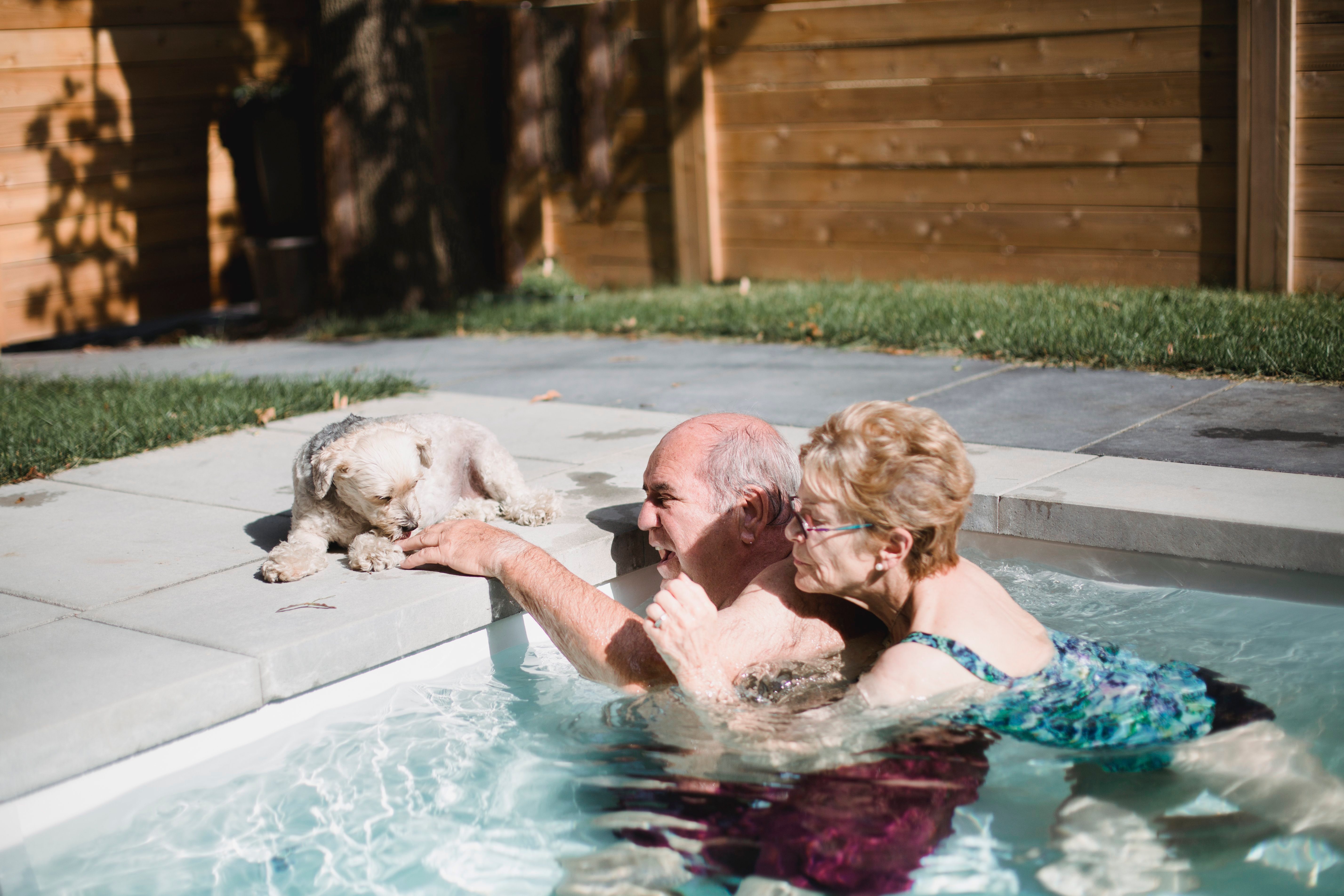 Senior couple in a swimming pool playing with a dog