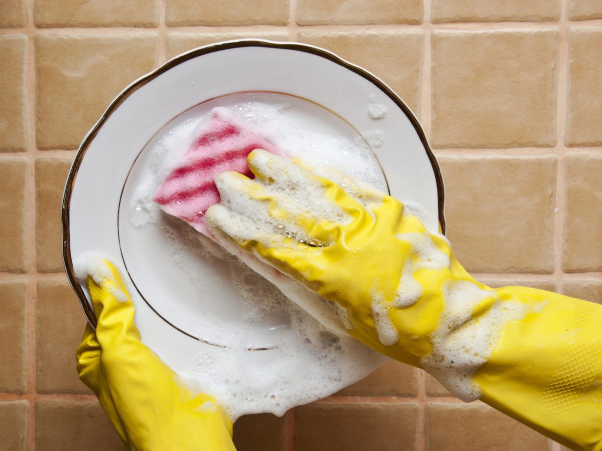 Scrubbing plate with kitchen sponge